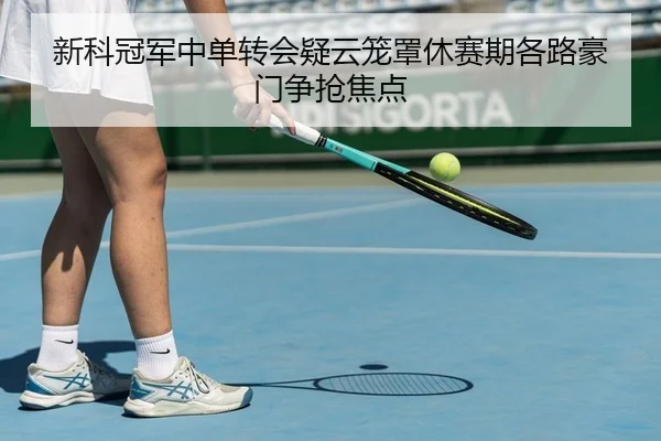 新科冠军中单转会疑云笼罩休赛期各路豪门争抢焦点
